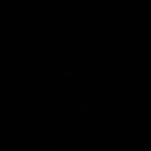 Meet your Posher, Dakota